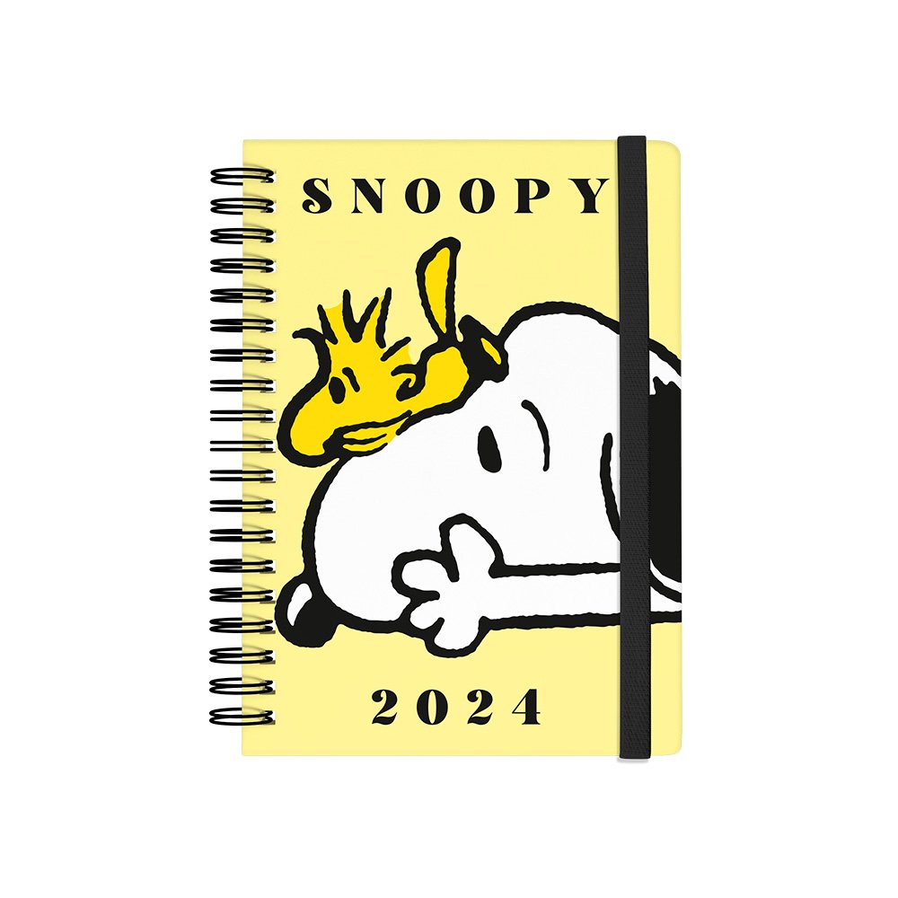 AGENDA 2024 A5 14x20 CM DIARIA DISNEY 100 AÑOS MOOVING