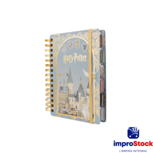 Agenda 2027 14x20 Diaria Harry Potter Mooving (336126)